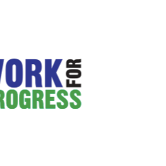 Digital Strategist- Public Interest Network