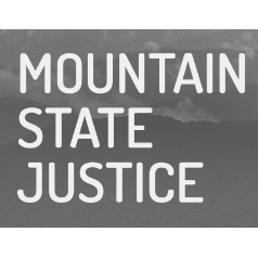 Litigation Paralegal